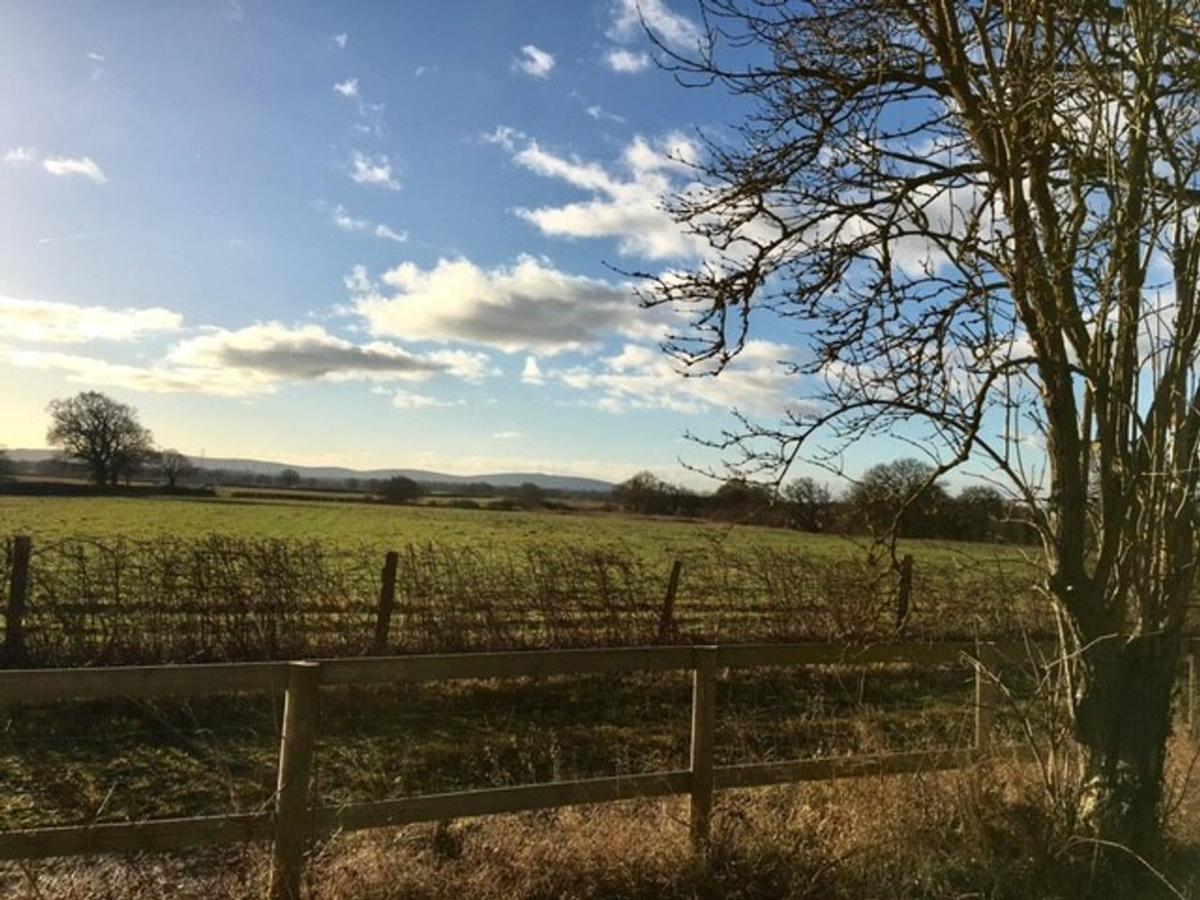 South Cottage - Rural Gem In The Heart Of The Sussex Countryside Twineham Exteriör bild