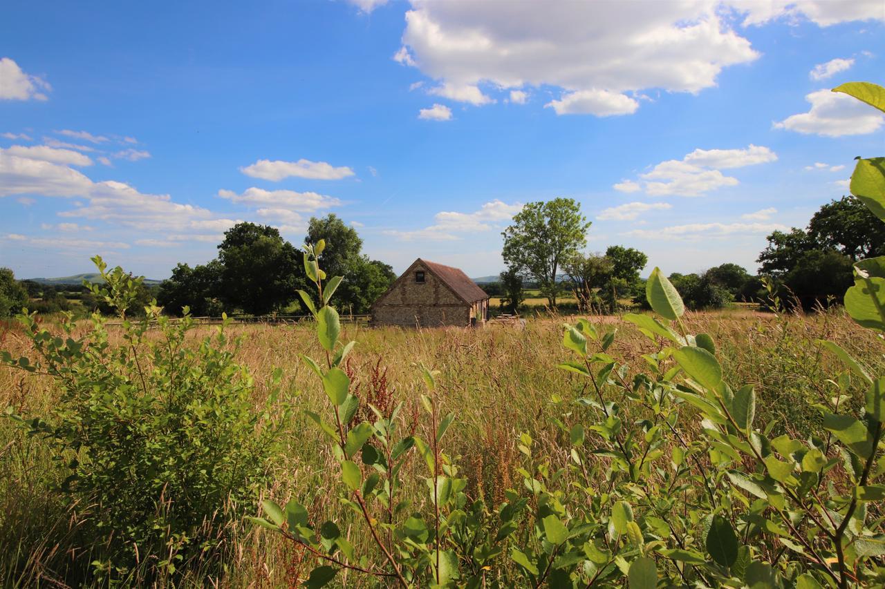 South Cottage - Rural Gem In The Heart Of The Sussex Countryside Twineham Exteriör bild