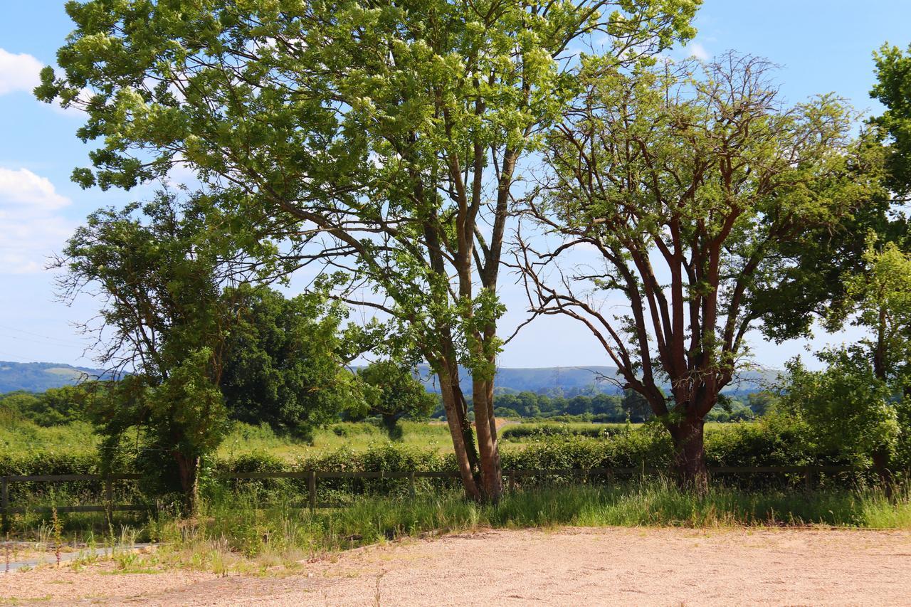 South Cottage - Rural Gem In The Heart Of The Sussex Countryside Twineham Exteriör bild